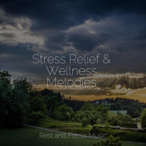 Обложка для Wellness, The Relaxation Principle, Musique Zen Garden - Rolling Dusk