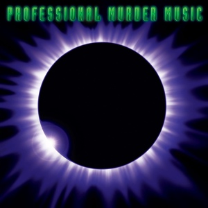 Обложка для Professional Murder Music - These Days