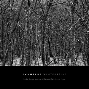 Обложка для Locky Chung - Winterreise Op.89 D.911 - X. Rast