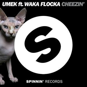 Обложка для Umek feat. Waka Flocka Flame - Cheezin' (feat. Waka Flocka Flame)