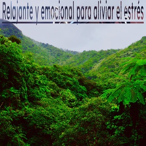 Обложка для Radame ambiental - Música para Sana