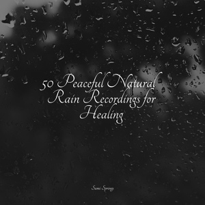 Обложка для Entspannungsmusik Oase, Rain Storm Sample Library, Chakra Meditation Universe - Sprinkling Drops