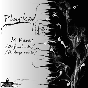 Обложка для DJ Karas - Plucked Life