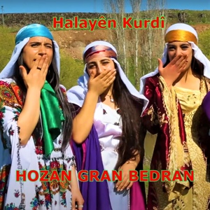 Обложка для Hozan Gran Bedran - Çiftetelli Sevmez Herkesi