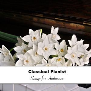 Обложка для Piano Shades, Piano para Relajarse, - Beethoven's Sonata No 11 in B Flat Major Op 22 II Adagio