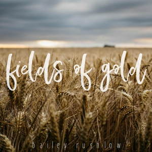 Обложка для Bailey Rushlow - Fields of Gold (Acoustic)