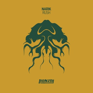 Обложка для Narik - Rush (Original Mix)