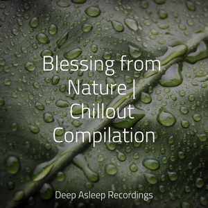 Обложка для Avslappning Sound, Entspannungsmusik Oase, Deep Sleep Music Delta Binaural 432 Hz - World in Flow