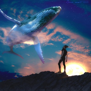Обложка для TheFrodesDiD - Время синего кита