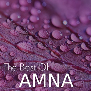 Обложка для WHAT'S UP, AMNA - ARME (RADIO EDIT)
