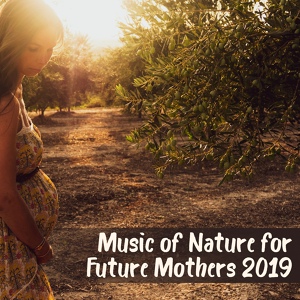 Обложка для Nature Music Pregnancy Academy - Reiki Healing