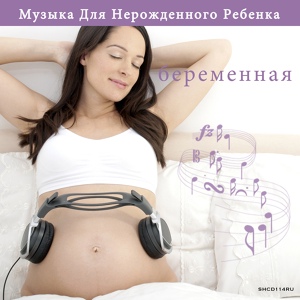 Обложка для World Pregnant Music - Winter 1st Movement Allegro Non Molto