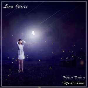 Обложка для Sean Norvis - Meteor Feelings (M.A.N. Extended Remix) (Deep Room Music)