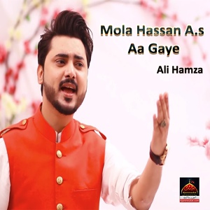 Обложка для Ali Hamza - Mola Hassan A.s Aa Gaye