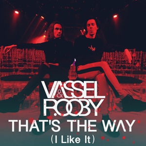 Обложка для Vassel & Rooby - That's the Way (I Like It)