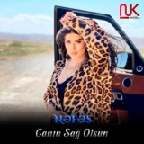 Обложка для Nefes - Canin Sagolsun 2020