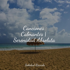 Обложка для Música Instrumental Maestro, Relajar, Sonido de lluvia - Descanso Celestial