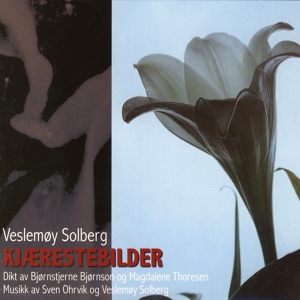 Обложка для Veslemøy Solberg - Fortabt