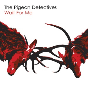 Обложка для The Pigeon Detectives - You Better Not Look My Way