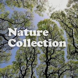 Обложка для Rain Sounds Nature Collection - Nature Rain, Pt. 5