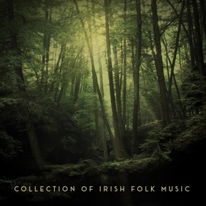 Обложка для The Irish Folk - Celtic Stillness
