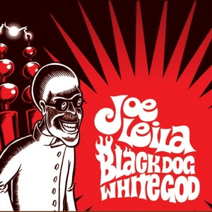 Обложка для Joe Leila - Black Dog White God