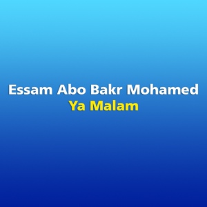 Обложка для Essam Abo Bakr Mohamed - Ayshen Fy Al Donya
