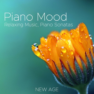 Обложка для Relaxing Piano Music Academy - Nirvana