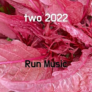 Обложка для Run Music - two 2022