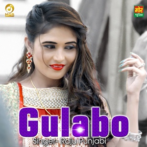 Обложка для Raju Punjabi - Gulabo