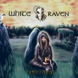 Обложка для White Raven - Interlude