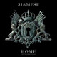 Обложка для Siamese - Numb