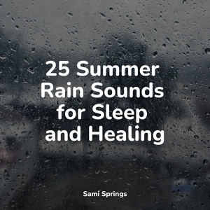 Обложка для Alpha Waves, Deep Relaxation Meditation Academy, Rain Sound Studio - Traffic Rain