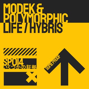 Обложка для Modek - Life