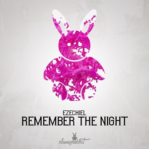 Обложка для Deepberry - Remember The Night