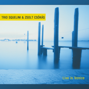 Обложка для Trio Squelini feat. Zsolt Csókás - Il sogno di flametti