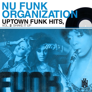 Обложка для Nu Funk Organization - Shake It Up