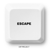 Обложка для D.I.P Project - Escape