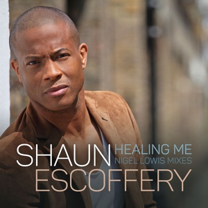 Обложка для Shaun Escoffery - Healing Me (Nigel Lowis Radio Mix)