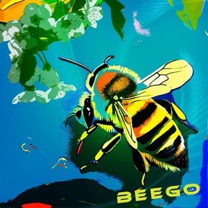 Обложка для Arjen Sound - Beego