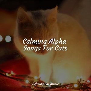 Обложка для Music for Pets Library, RelaxMyCat, Music For Cats - Music for Relaxation