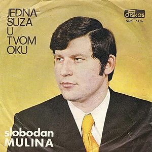 Обложка для Slobodan Mulina - Neverna zena