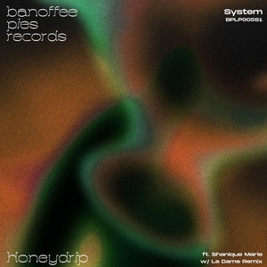 Обложка для Honeydrip, La Dame feat. Shanique Marie - System