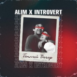 Обложка для ALIM, IntroVert - Тёплый вечер