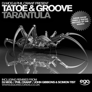 Обложка для Tatoe - Tarantula