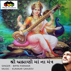 Обложка для Kumaar Sanjeev feat. Bipin Parmar - Shree Brahmani Maa Na Mantra