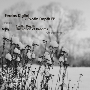 Обложка для Ferdas Digital - Illustration of Dreams (Original Mix)
