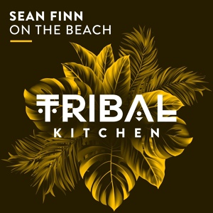 Обложка для Sean Finn - On the Beach