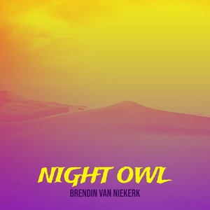Обложка для Brendin van Niekerk - Night Owl