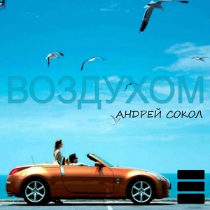 Обложка для Андрей Сокол - Воздухом